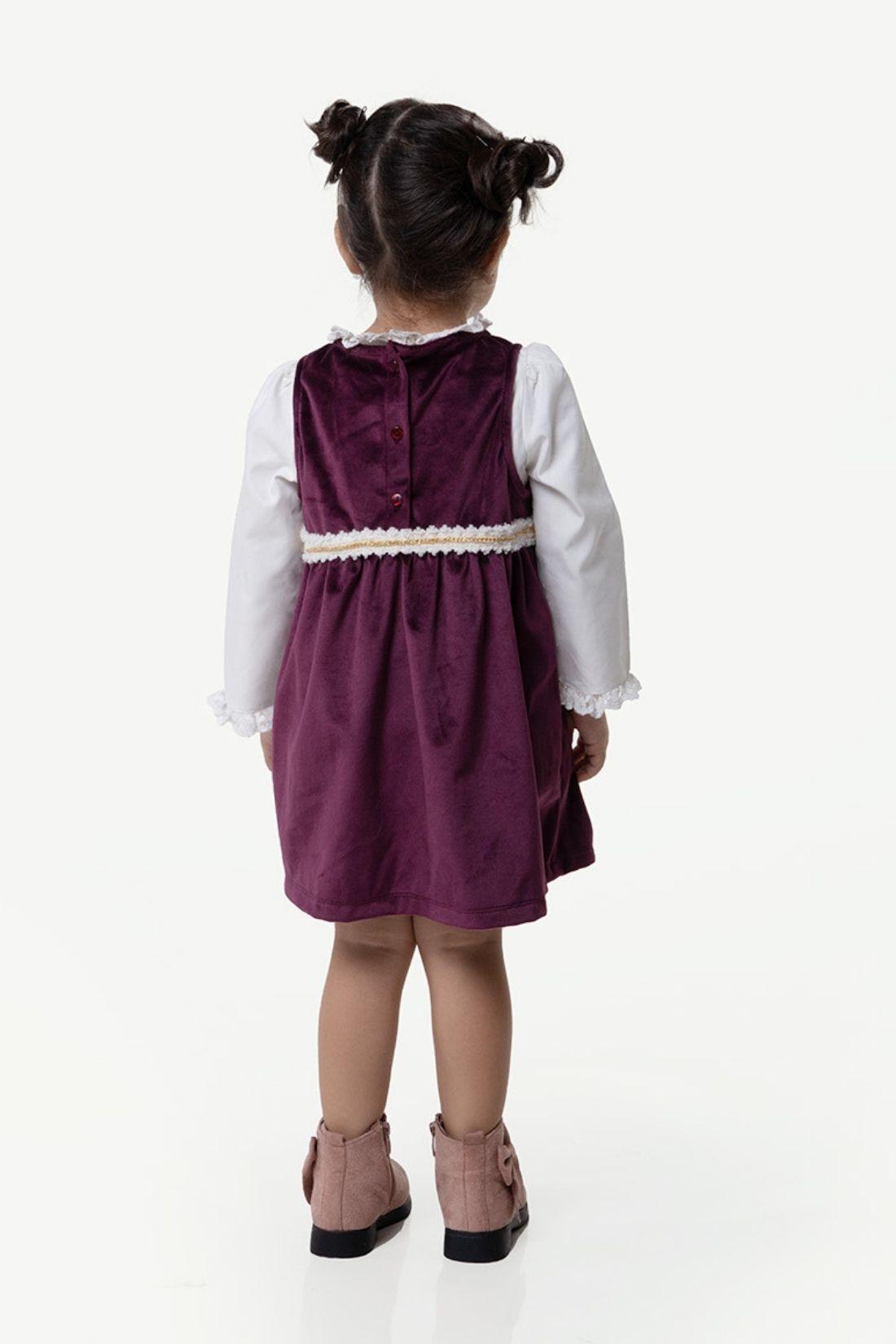 One Friday Baby Girls Wine Round Neck Dress With Top - One Friday World