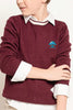 One Friday Kids Boys Burgundy Sweater