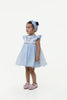 One Friday Baby Girls Blue Round Neck Dress - One Friday World