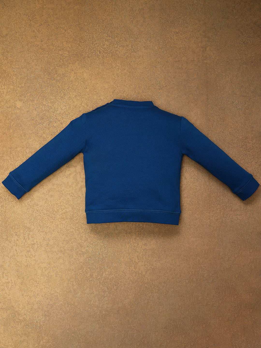 One Friday Baby Boys Blue Solid Sweat Shirt